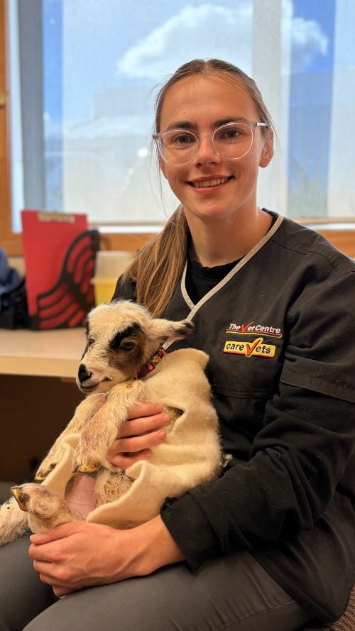 Holly Skelton | The Vet Centre